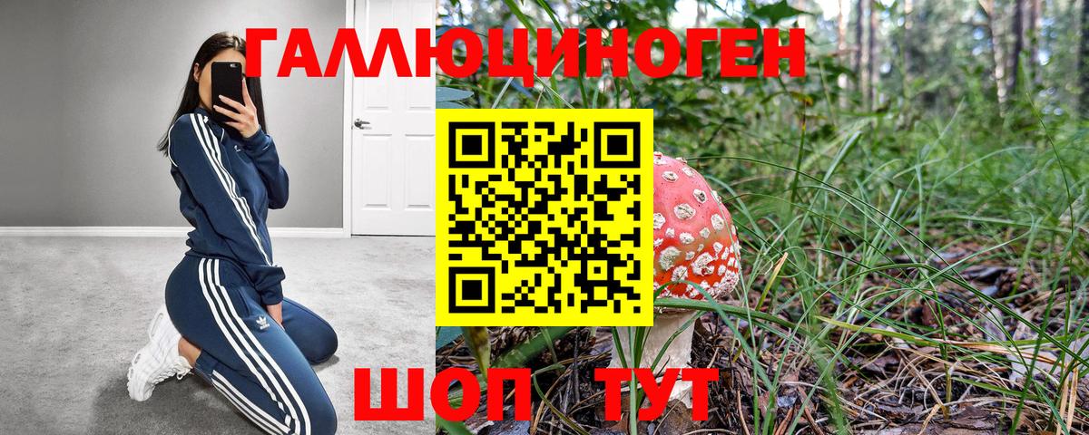 Псилоцибиновые грибы мухоморы Железноводск
