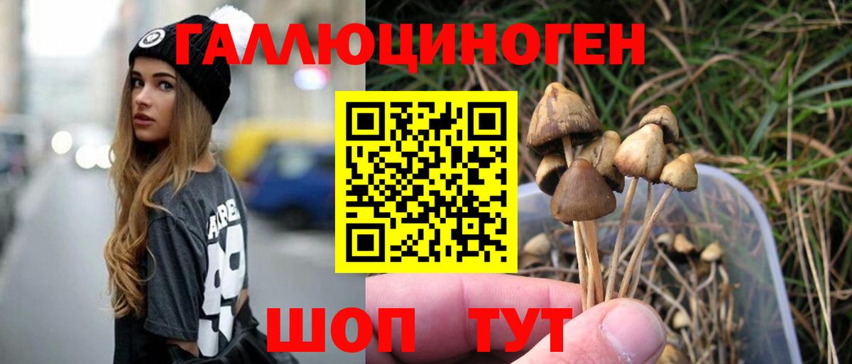 Железноводск  Галлюциногенные грибы мицелий  Вход с VPN 